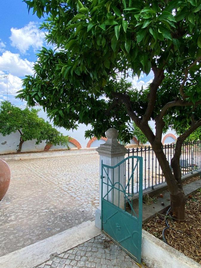 Pias Guesthouse Bagian luar foto
